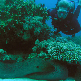 Curso de Buceo "Advanced Open Water" (Málaga)