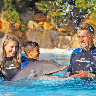Dolphin Emotions Encounter: Encuentro con Delfines y Entrada a Zoomarine (Portugal)