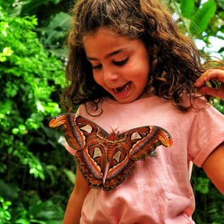 Entrada a Mariposario de Benalmádena (Málaga)