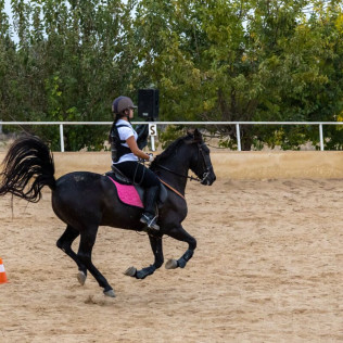 Clase de Equitación en Club Hípico Legend (Villajoyosa, Alicante)