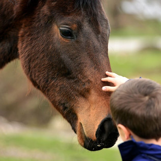 Clases de Equitación en Pony para Niños en La Finca Pony Club (Bétera, Valencia)