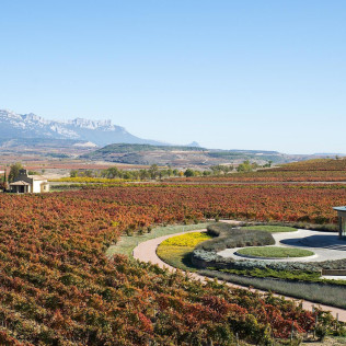Escapada con Jacuzzi Privado y Visita a Bodega con Degustación para dos (La Rioja)