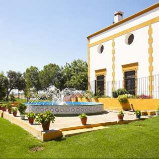 Escapada en Hotel Bodega El Moral con Visita a Bodega las Encomiendas y Vuelo en Avioneta (Ribera del Fresno, Badajoz)