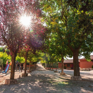 Escapada Enológica con Visita Guiada a Bodega Andrés Iniesta (Fuentealbilla, Albacete)