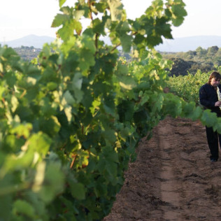 Escapada Enológica de 2 Noches con Visita a Bodegas Mayo Garcia para dos (Castellón)