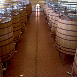 Escapada con Visita a Bodega Los Aljibes y Paseo en Coche de Caballos (Albacete)