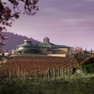 Escapada en El Palacete del Obispo 4* y Visita a BODEGAS VIVANCO con Degustación (Burgos / La Rioja) 