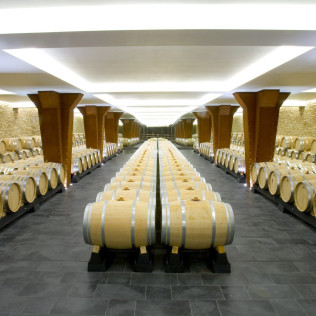 Escapada en El Palacete del Obispo 4* y Visita a BODEGAS VIVANCO con Degustación (Burgos / La Rioja) 