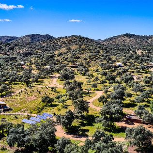 Escapada en Familia de 2 Noches con Desayuno en Junior Suite de Glamping La Dehesa Experiences (Adamuz, Córdoba)