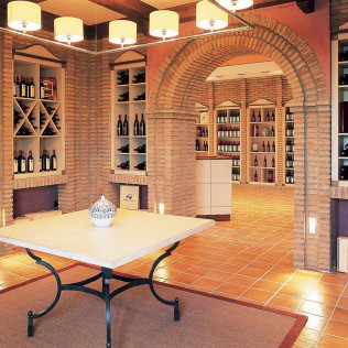 Visita a Bodega Grandes Vinos con Cata de Vinos para dos (Cariñena, Zaragoza)