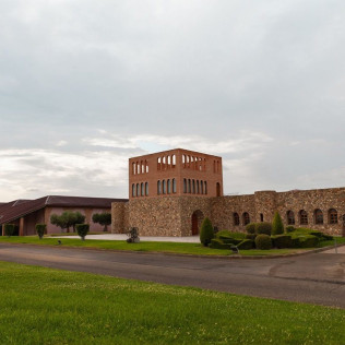 Visita a Bodega Grandes Vinos con Cata de Vinos para dos (Cariñena, Zaragoza)