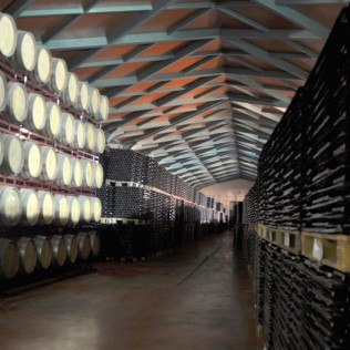 Visita a Bodega Grandes Vinos con Cata de Vinos para dos (Cariñena, Zaragoza)