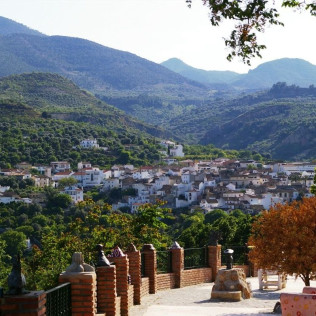 Escapada Gastronómica Sin Gluten de 2 Noches con Desayuno, Cena y Pack de Productos en Hostal Rural Los Naranjos (Granada)