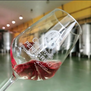 Escapada Rural con Desayuno en Hostal Los Oteros y Visita a Bodegas Gordonzello con Cata de Vinos y Aperitivo para dos (León)