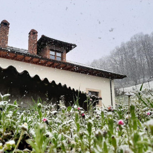 Escapada con Cena en Hotel Rural El Rexacu (Bobia de Arriba, Asturias)