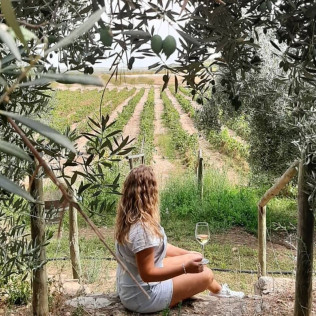 Ruta del Vino: Visita a Bodega, Cata y Menú Degustación para dos en Hotel Enoturismo Mainetes (Albacete)