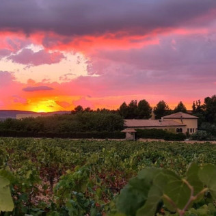 Ruta del Vino: Visita a Bodega, Cata y Menú Degustación para dos en Hotel Enoturismo Mainetes (Albacete)