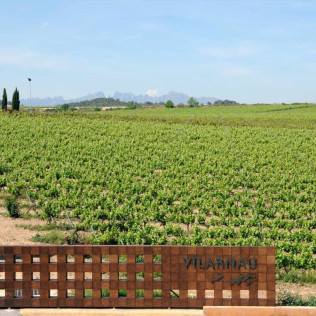 Escapada con Desayuno en Hotel Fonda Neus y Visita a Caves Vilarnau con Cata de Cava para dos (Sant Sadurní d’Anoia, Barcelona)