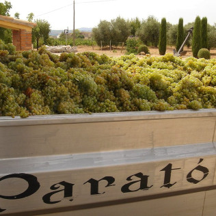 Escapada con Desayuno en Hotel Fonda Neus y Visita a Celler Parató con Cata y Botella para dos (Barcelona)