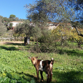 Escapada Rural con Desayuno en Hotel La Era de Aracena 3* (Huelva)