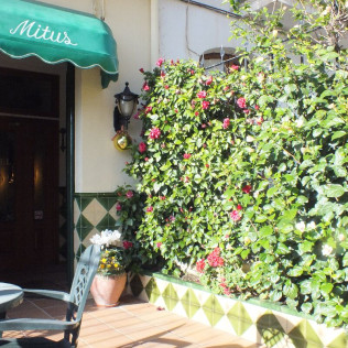 Escapada de 2 Noches con Desayuno en Hotel Mitus (Canet de Mar, Barcelona)
