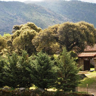 Escapada con Cena en Hotel Rural La Trocha de Hoyorredondo 4* (Hoyorredondo, Ávila)