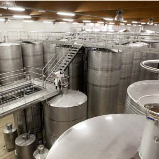 Escapada con Desayuno en Hotel Panadeiramar y Visita a Bodega Paco & Lola con Cata de Vinos (Pontevedra)