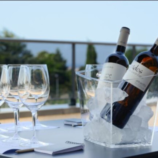 Escapada en Hotel Panadeiramar y Visita a Bodega, Degustación y Maridaje Gourmet en Adega Dos Eidos (Sanxenxo, Pontevedra)