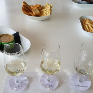 Escapada en Hotel Panadeiramar y Visita a Bodega, Degustación y Maridaje Gourmet en Adega Dos Eidos (Sanxenxo, Pontevedra)