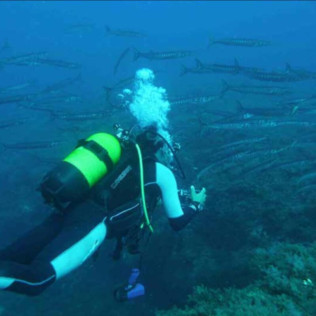 Discover Scuba Diving: Bautismo de Buceo (Las Negras, Almería)