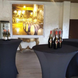 Visita a Bodega y Cata de Vinos para dos en Adegas Condado de Sequeiras de Ribeira Sacra (Chantada, Lugo) 
