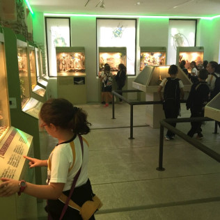Entradas a InsectPark (San Lorenzo de El Escorial, Madrid)