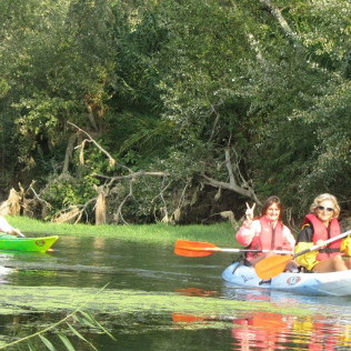 Descenso del Ebro en Kayak (Tarragona)