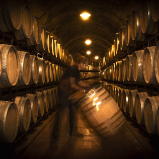 Visita a Bodegas Vinícola Real de La Casa del Cofrade con Cata de Vinos (Albelda de Iregua, La Rioja)
