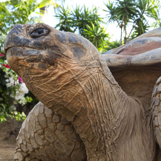 Entrada al Loro Parque (Tenerife)