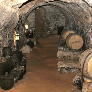Visita a los Viñedos y a las Bodegas Malacuera con Degustación de Vinos para dos (Castrillo de Duero, Valladolid)