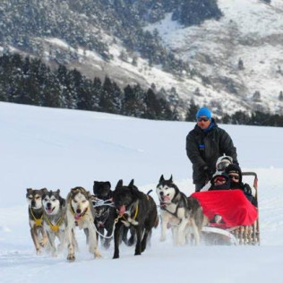 Mushing: Excursión en Trineo por el Bosque de Dossau (Vall d'Aran, Lleida)