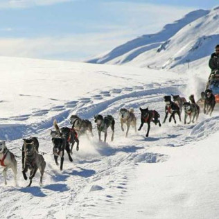 Mushing: Excursión en Trineo por el Bosque de Dossau (Vall d'Aran, Lleida)