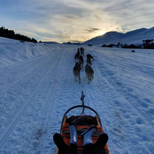 Mushing por la Senda de los Osos (Vall d'Aran, Lleida)