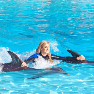 Dolphin Emotions Premium: Nadar con Delfines, Entrada a Zoomarine y Acceso para Acompañante (Portugal)