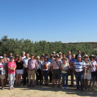 Visita Guiada a OleoAlmanzora con Degustación de AOVE para dos (Pulpí, Almería)