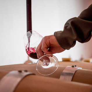 Visita a Bodegas Olimarum con Cata de Vino y Aperitivo para dos (Canalejas de Peñafiel, Valladolid)