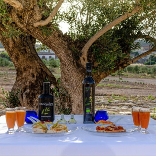 Visita a Almazara Olivares de Altomira con Cata de AOVE para dos (Vellisca, Cuenca)