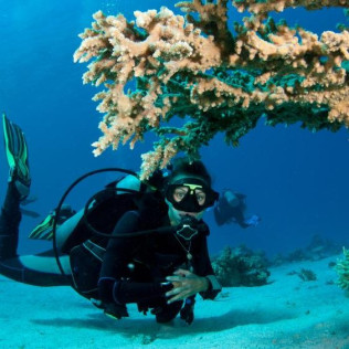 Curso de Buceo Open Water Diver (Tarragona)
