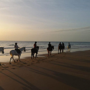 Ruta a Caballo por la Playa (Cádiz)