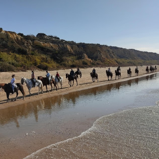 Paseo a Caballo por las playas de Doñana (Mazagón, Huelva)