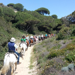 Paseo a Caballo por las playas de Doñana (Mazagón, Huelva)