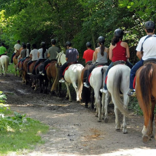 Paseo a Caballo para dos (Lleida)