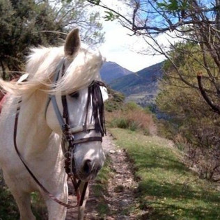 Paseo a Caballo para dos (Lleida)