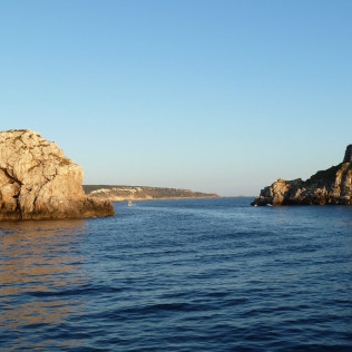 Paradise: Paseo en Catamarán con Baño por Puerto Andratx (Mallorca)